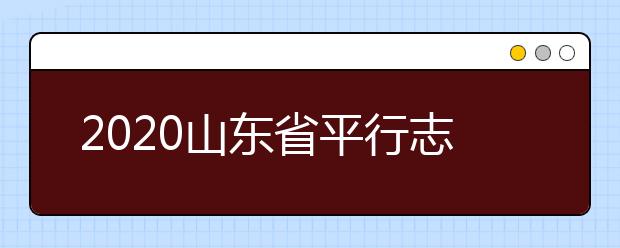 2020山東省平行志愿怎么報？平行志愿分幾類？